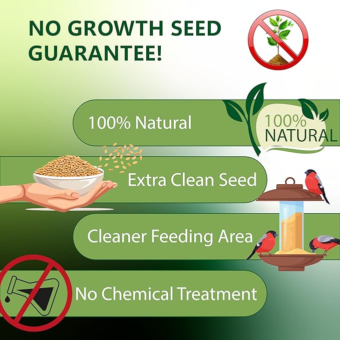 Nyjer Seed & Sunflower Seeds Wild Bird Food Combo - 5 Pound Pack I No Grow Seed I Bird Food for Wild Birds