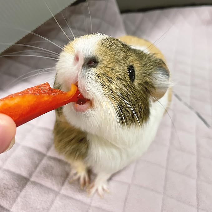 GuineaDad Premium Liner – Fleece Guinea Pig Cage Liner – Ultra-Plush Reusable Fleece Bedding with Waterproof Bottom – (Blush)