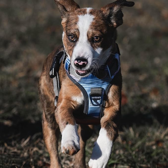 Embark Adventure Dog Harness, Reflective Trim No Pull Dog Harnesses for Small Sized Dogs - Military Grade Nylon, Front Clip with Gel Lined Handle.