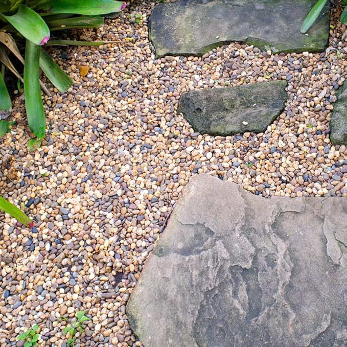 5lbs Aquarium Gravel, 1/4" Fish Tank Gravel Natural River Rocks Succulent Cactus Pea Gravel for Plants, Pebbles for Gardening, Flower Pots, Vase Fillers, Indoor Water Fountains, Landscaping