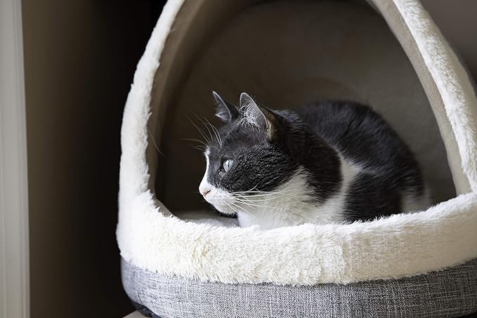 Best Pet Supplies Cozy Cat Cave by - Gray, 17 x 15 x 14