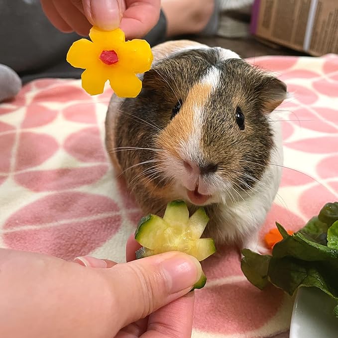 GuineaDad Premium Liner – Fleece Guinea Pig Cage Liner – Ultra-Plush Reusable Fleece Bedding with Waterproof Bottom – Extra Absorbent Liner for 2x4 C&C Cage (Peach Pie)