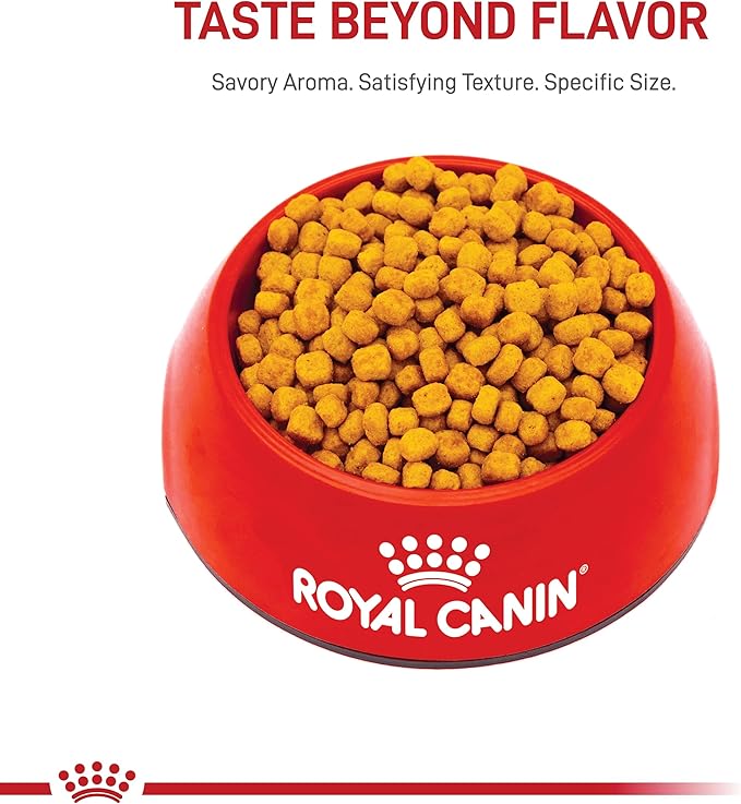 Royal Canin Indoor 7+ Adult Dry Cat Food, 2.5 lb bag