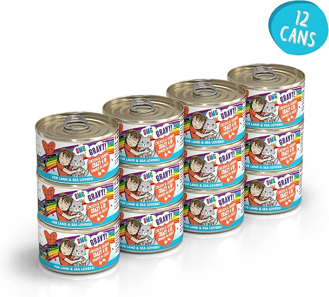 Weruva B.F.F. OMG - Best Feline Friend Oh My Gravy! Grain-Free Wet Cat Food Cans, Crazy 4 U! Chicken & Salmon, 2.8oz Can (Pack of 12)