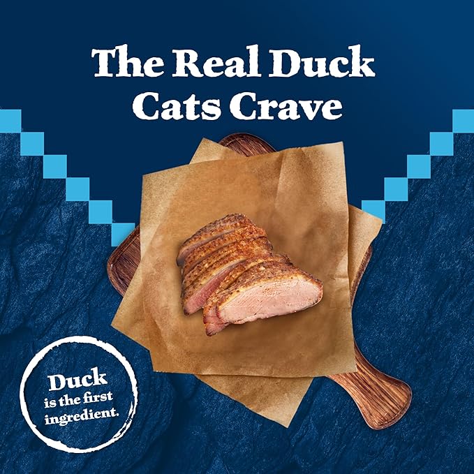 Blue Buffalo Wilderness Duck Supports Health and Wellness High-Protein & Grain-Free Healthy Adult Dry Cat Food 11 lbs.