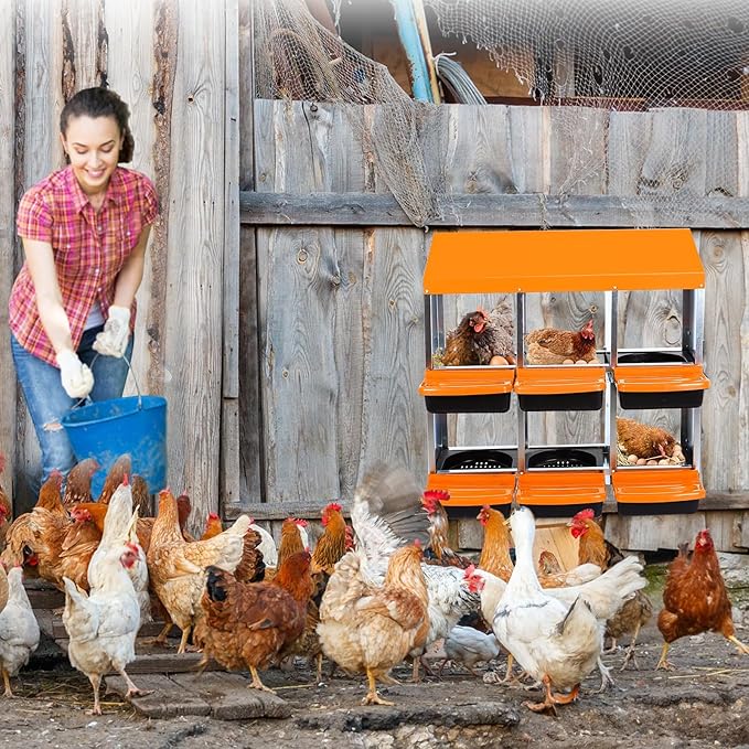 Chicken Nesting Box, 6 Hole 2 Layer Hen Nest Boxes, Roll Away Eggs Laying Boxes,Cleanable Pull Out Hen Roosting Boxes