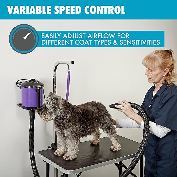 GustyAir Mini Dog Blow Dryer - Professional, Commercial Grade Force Dryer for Groomers - Quiet, High Velocity Air Dryer, Hose Attachments, Variable Speed, No Heating Element - USA Company - Purple