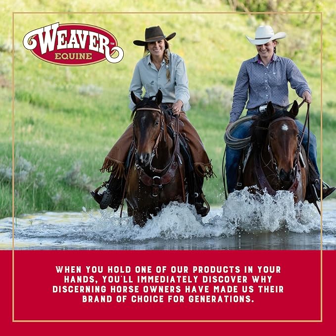 Weaver Equine Breakaway Horse Halter, Comfort Foam Padding, Adjustable Chin & Throat Snap Halters for Horses, Equine Tack,Average Size, Red