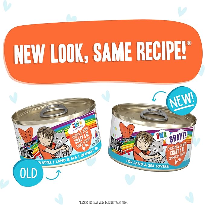 Weruva B.F.F. OMG - Best Feline Friend Oh My Gravy! Grain-Free Wet Cat Food Cans, Crazy 4 U! Chicken & Salmon, 2.8oz Can (Pack of 12)