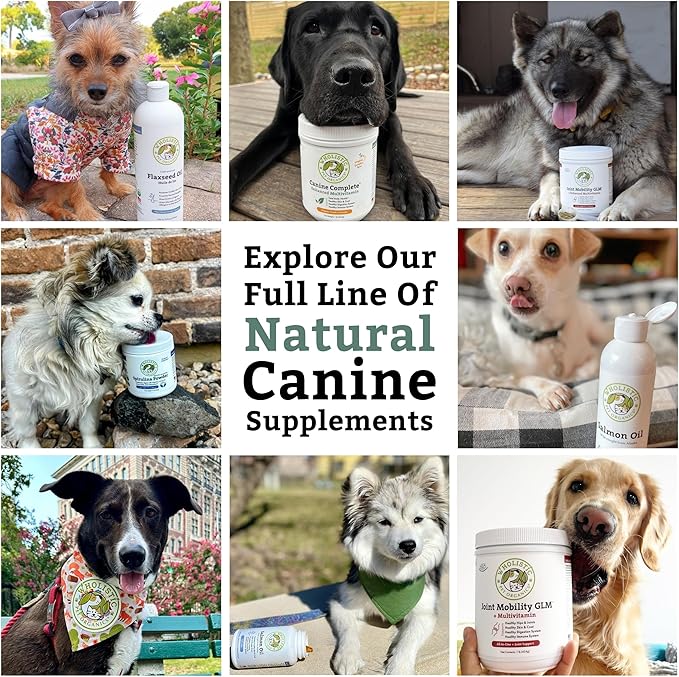 Wholistic Pet Organics Canine Complete - Dog Multivitamin Powder - 4 Lb - Daily Dog Vitamins and Supplements for Homemade Food - Immune System, Skin, Coat & Overall Health - Small and Large Breed