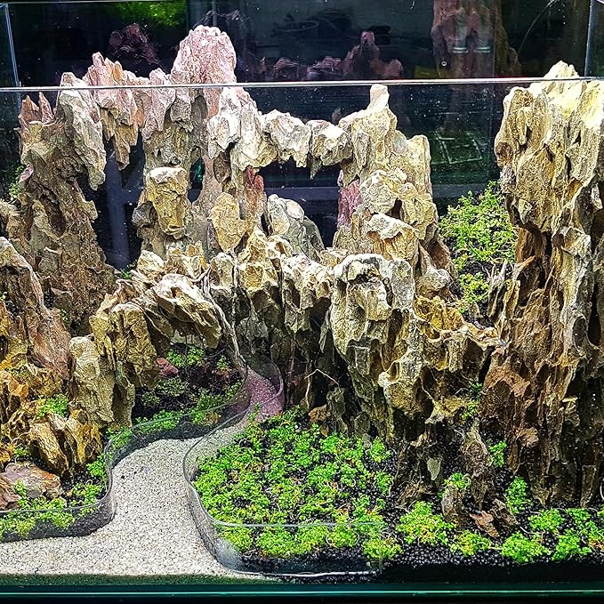 2-4 Inches Natural Dragon Stone 20 PCS Aquarium Rocks for Aquascaping, Aquarium Landscaping, Terrariums, Fish Tank Decoration, Vivariums, Paludarium, Reptile and Amphibian Enclosures