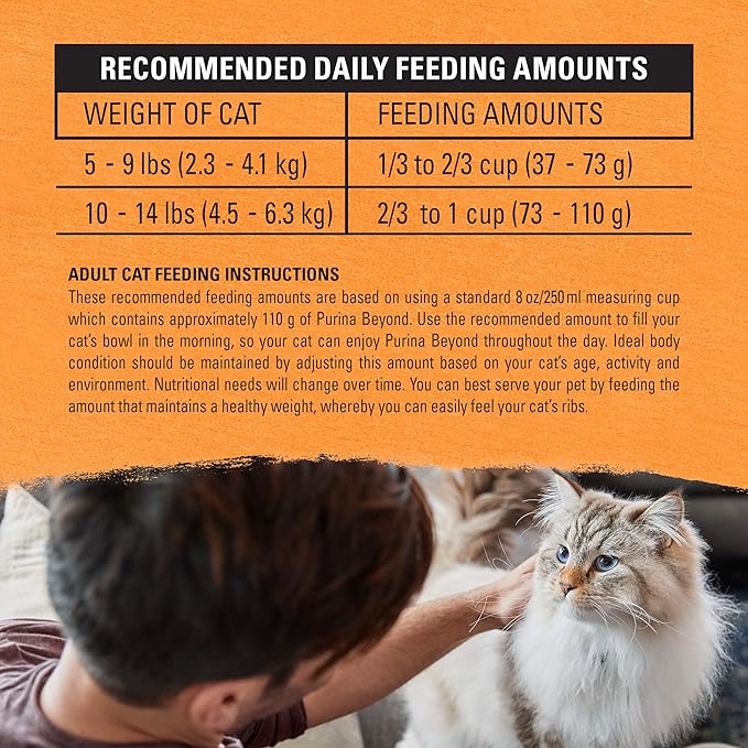 Purina Beyond Grain Free White Meat Chicken & Egg Recipe Adult Dry Cat Food, 3 LB