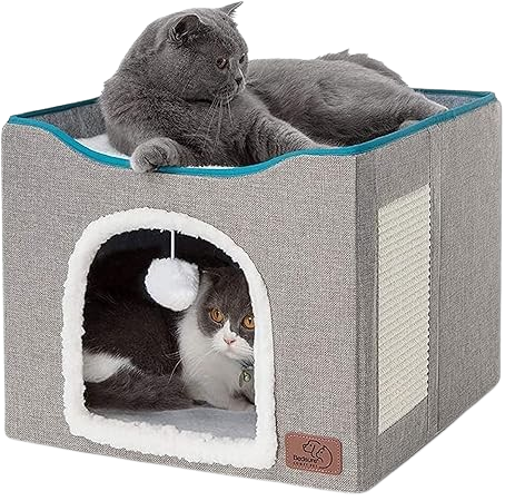 Pet Beds & Furniture