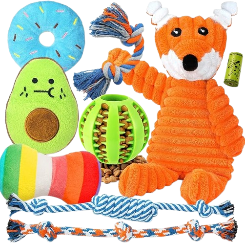 Toys & Entertainment
