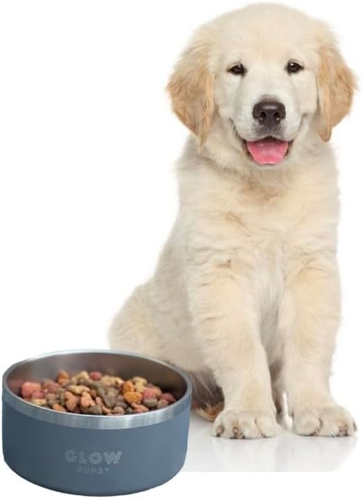 Grey Dog Double Wall Stainless Steel Pet Bowl, Vacuum Insulated, Non Skid, 64 oz