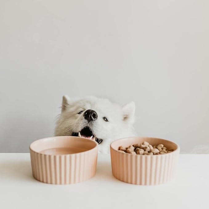 Waggo Ripple Ceramic Dog Bowl for Medium and Large Breeds - Modern with Matte Finish, Heavyweight Durable Pet Food and Water Dish Crock, Dishwasher Safe (Small, White)
