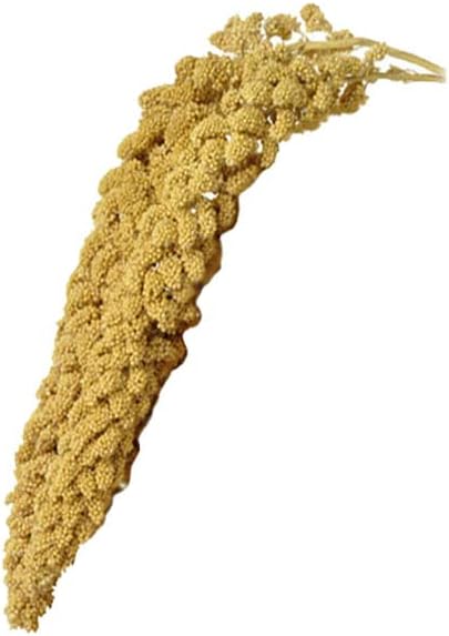 Birds LOVE Spray Millet – 9 oz GMO-Free, No Stems (Only Edible Tops) – Healthy Treat for Parakeets, Cockatiels, Finches, Canaries & Lovebirds
