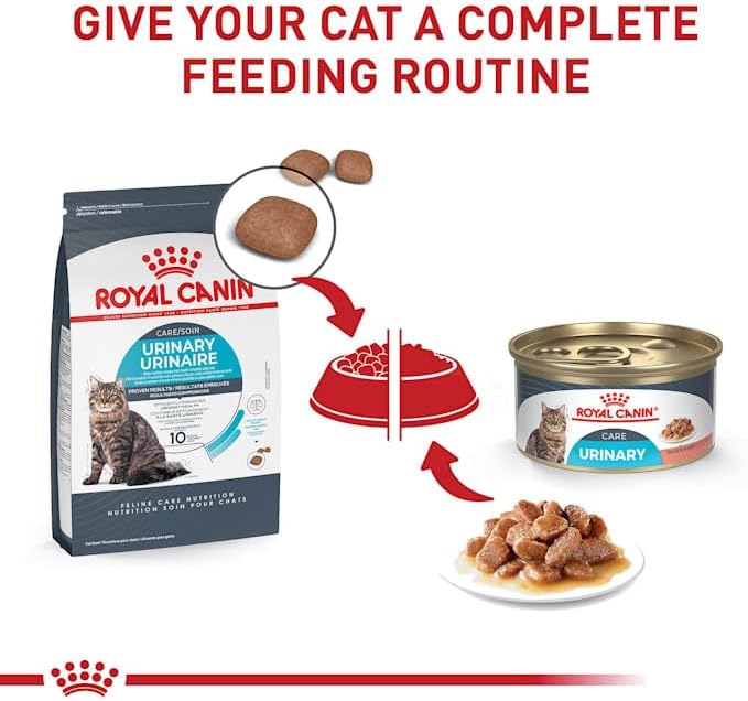 Royal Canin® Feline Care Nutrition™ Urinary Care Dry Cat Food, 3 lb