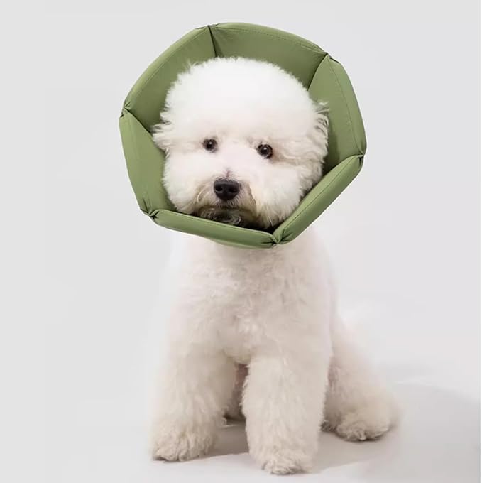 Cat Cone Collar - Soft Waterproof Elizabethan for Cats, Cute Green Flower Anti-Lick Recovery Collar, Adjustable Healing Collar for Wound Care & Surgery，L