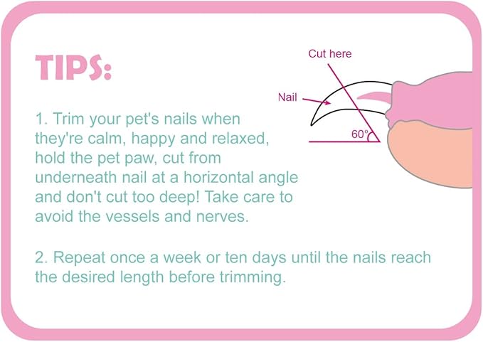 Cat Nail Clippers, Cat Claw Trimmer for Pet Grooming Tool, Easy Cutting Cat Claw Clippers, Dog Nail Clippers, Angled Blade Sharp Claw Scissors for Small Animals Rabbit Puppy Kitten