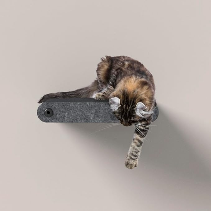Wall Mounted Cat Steps Short Shelves (2) by Pryde Pets - Stairs for Walkways, 100% Sustainable PET Felt Feline Enrichment Climber Furniture for Indoor Cats, Modern Climbing Gym Design (Charcoal)