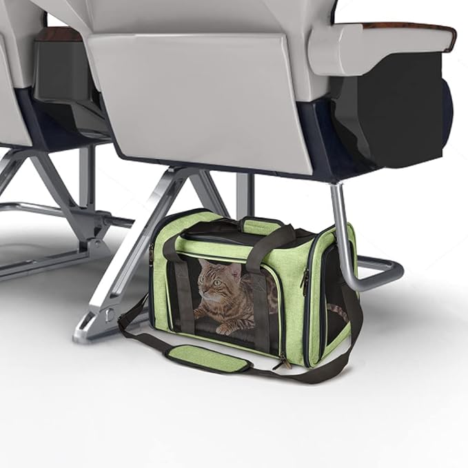 Pet Carrier for Small Medium Cats Dogs Puppies up to 15 Lbs, Airline Approved Small Dog Carrier Soft Sided, Collapsible Travel Puppy Carrier - Green