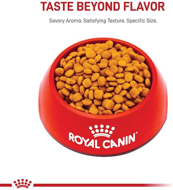 Royal Canin® Feline Care Nutrition™ Urinary Care Dry Cat Food, 3 lb