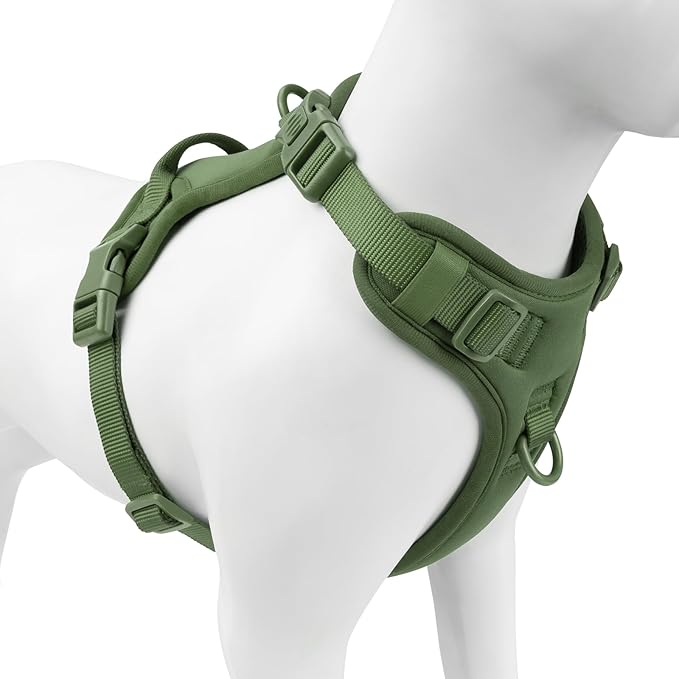 No Pull Dog Harness, Puppy Vest with Front Clip for Small Medium Large Sized Dog (Misty Green,S)