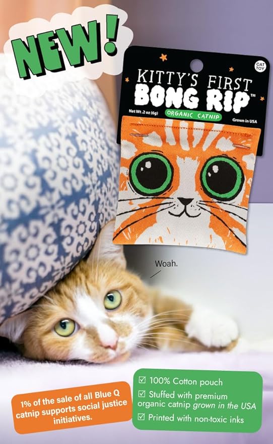 Blue Q Kitty's First Bong Rip Catnip Cat Toy. Premium Organic Catnip Grown in The USA, 100% Cotton Pouches, Kitty Graphics Sure to Delight Every Cat-Keeper.