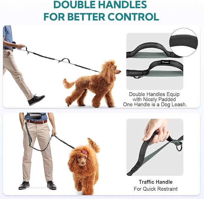 Hands Free Dog Leash with Pouch, Retractable Bungee, Double Padded Handles for Walking, Waist Leash for Medium & Large Dogs, Walking Accessories