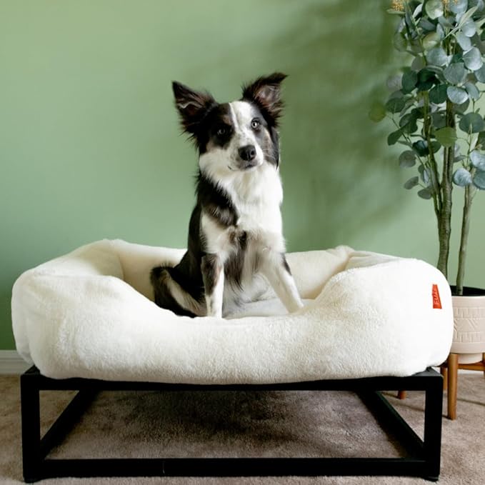 FUZI Luxury Aesthetic Dog Bed for Large Dogs with Washable Cover, Pet Couch, Pet Bed with Sides, Non-Slip Bottom, Soft and Durable Calming Dog Bed, Faux Rabbit Fur, Large 35.6x28.5x9.5 Soft White