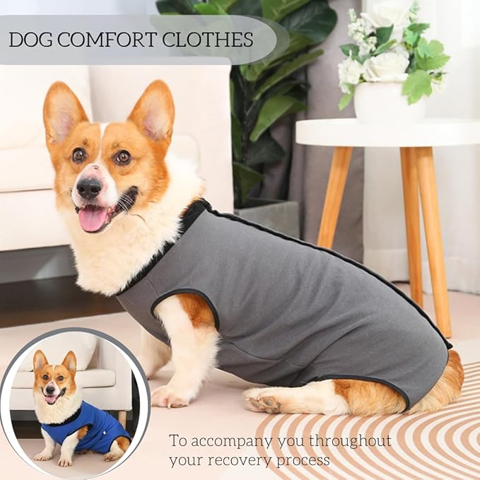 Dog Surgery Recovery Suit,Abdominal Surgical Suit for Dogs,Recovery Suit for Dogs,Prevent Licking Surgical Wound Dog Cone Alternative Grey M