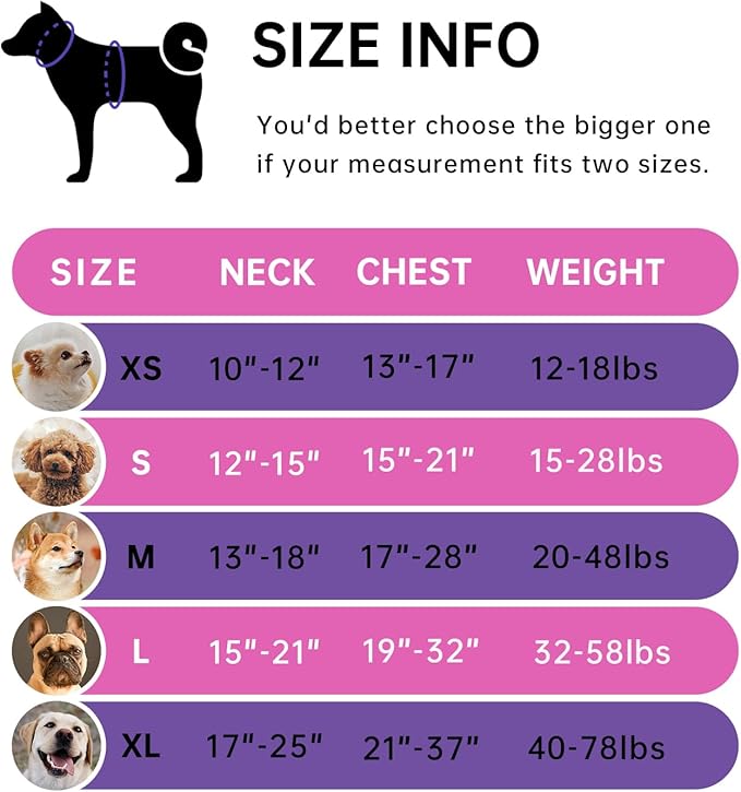 IVY&LANE No Pull Dog Harness for Large Dogs, Dog Vest Harness with Leash, Safety Belt and Storage Strap, Fully Adjustable Harness, 360° Reflective Strip, Soft Handle (Fuchsia Pink, L)