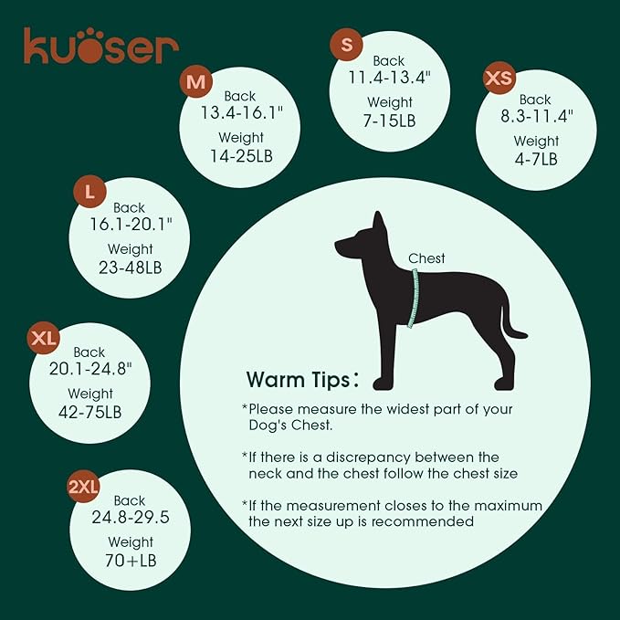 Kuoser Dog Onesie for Surgery Female, Surgical Onesie for Dogs, Female & Male Post-Op Wear, Recovery Suit for Dogs After Surgery Breathable Pet Surgery Suit, Pink XL