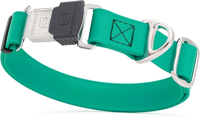 Dogline Biothane Waterproof Dog Collar with Herm Sprenger Black Stainless Steel Quick Release Buckle – Heavy Duty Tactical Durable Collar for Dogs – Comfortable and Safe Pet Collar W 1" L 15-25" Teal
