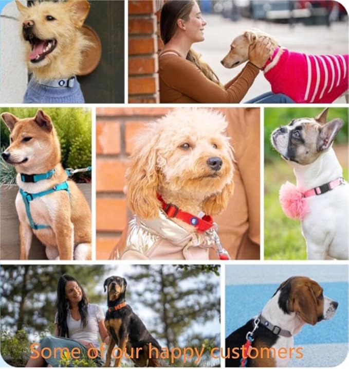Blueberry Pet Essentials Matching Adjustable & Durable Classic Solid Color Nylon Dog Collars for Medium Dogs | Highlighter Yellow Collar Medium Girl and Boy Dogs for Pet Owner