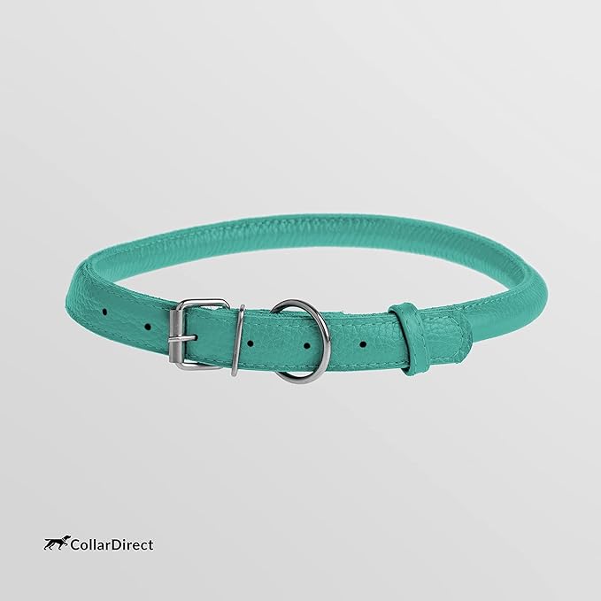 CollarDirect Rolled Leather Dog Collar, Soft Padded Round Puppy Collar, Handmade Genuine Leather Collar Dog Small Large Cat Collars 13 Colors (8-11 Inch, Mint Green Textured)