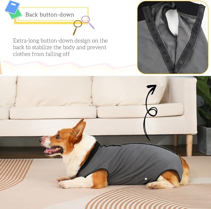 Dog Surgery Recovery Suit,Abdominal Surgical Suit for Dogs,Recovery Suit for Dogs,Prevent Licking Surgical Wound Dog Cone Alternative Grey XL