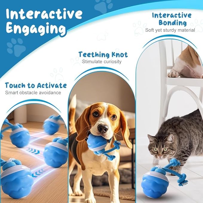 2026 New Interactive Pet Toy Ball, Smart Interactive Ball for Cats & Dogs, Electric Rolling Pet Toy Ball, Rechargeable Interactive Cat Toys for Bored Indoor Cats Kittens to Keep Busy (Orange)