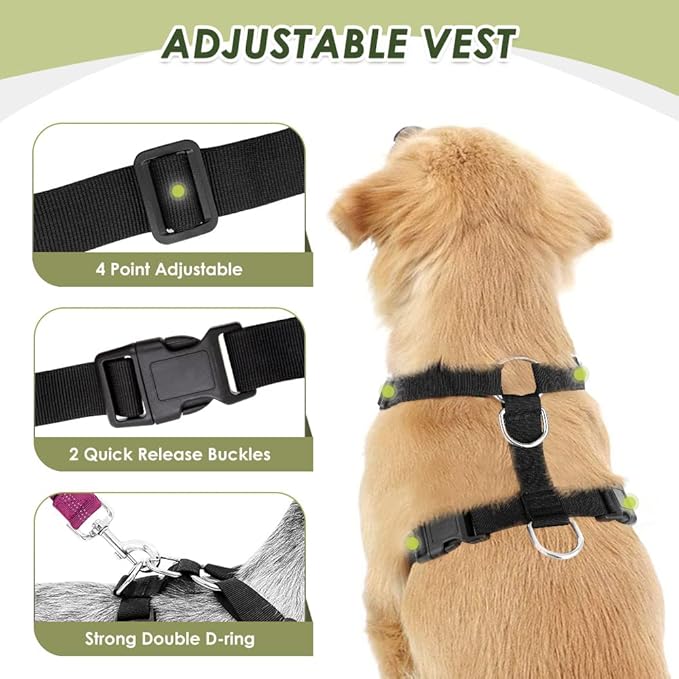 Lukovee Dog Seat Belt for Car, Adjustable Dog Car Harness for Large Medium Small Dogs, Soft Padded & Breathable Mesh Dog Seatbelt with Car Strap and Carabiner(Rose Double Clip,XX-Small)