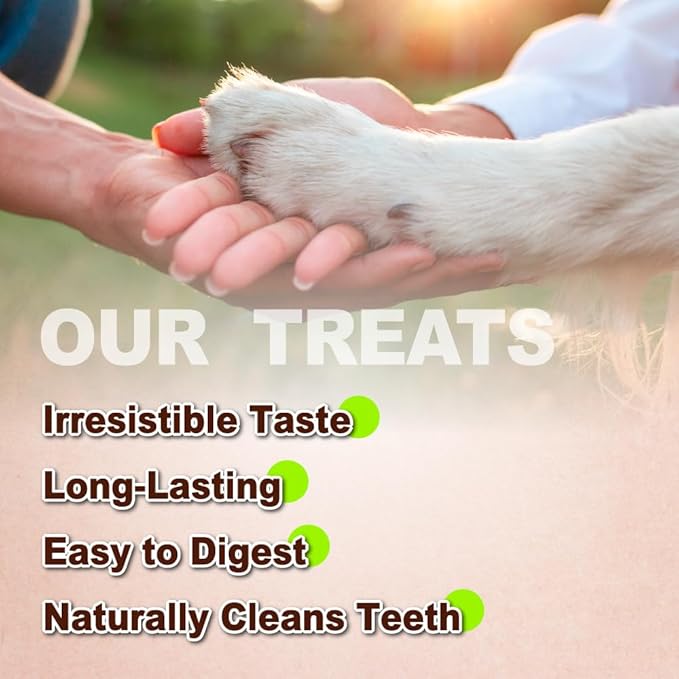 Afreschi Natural Turkey Tendon Rope (S) 40 Units/Box, Dog Treats for Signature Series, All Natural Human Grade Puppy Chew, USA-Sourced Turkey Tendon, Hypoallergenic, Rawhide Alternative