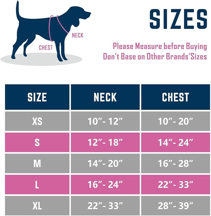 PHOEPET 2019 Upgraded No Pull Dog Harness, Reflective Adjustable Vest, with a Training Handle + 2 Metal Leash Hooks+ 3 Snap Buckles +4 Slide Buckles(S, Red)