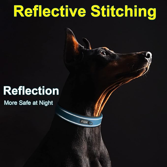 Fida Heavy Duty Dog Collar, Ultra Comfortable Soft Neoprene Padded, Adjustable Reflective Nylon Pet Collar with Durable Metal Belt Buckle for Small Breeds (S, Blue)