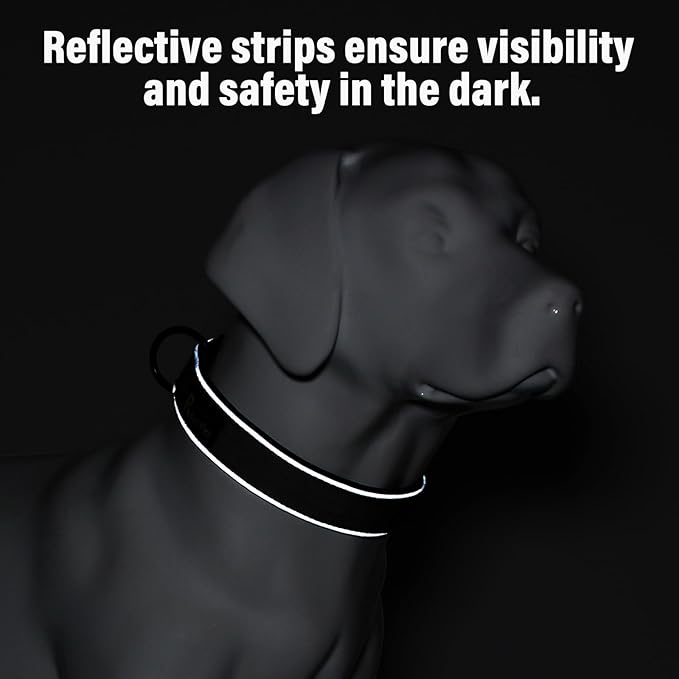 Plutus Pet Tactical Dog Collar, Reflective, Adjustable Heavy Duty Dog Collar, Soft Padded and Comfortable, for Small Medium and Large Dogs (Orange, XS)
