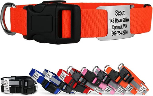 GoTags Personalized Dog Collar with Nameplate, Adjustable Dog Collar with Custom Engraved Slide On Pet ID Tag in Stainless Steel, Silent, No Noise Dog Tag for Large Medium and Small (Orange, Medium)