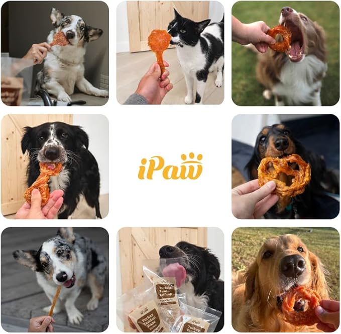 iPaw Turkey Tendons for Dogs, 100% Turkey and US Sourced Raw Material, Hypoallergenic, All Natural Human Grade Puppy Chew, Rawhide Alternative Dog Treats, 10 Unit/Packs Strip