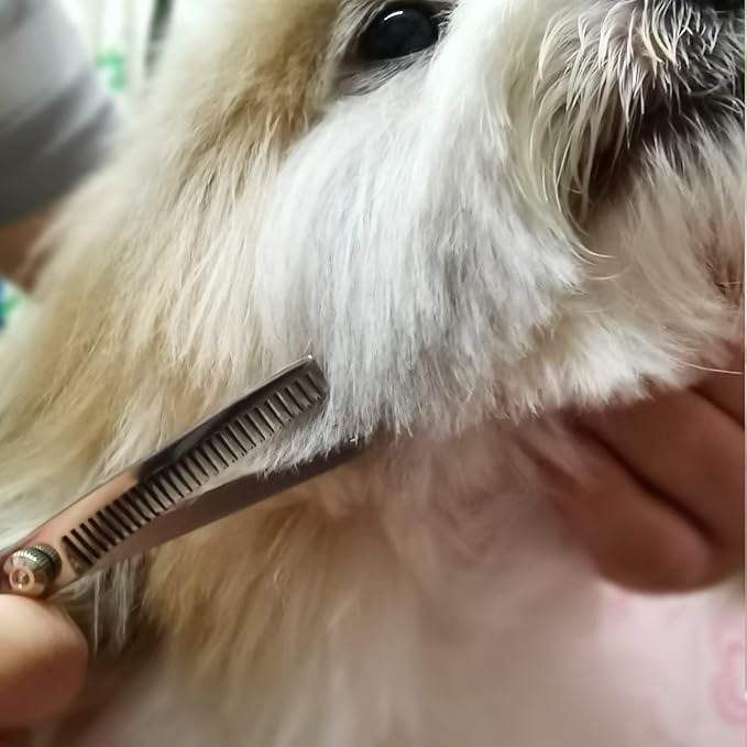 Dog Grooming Kit with Safety Round Tips Stainless Steel Professional Dog Shears Set - Thinning, Curved Scissors and Comb for Cat Pet