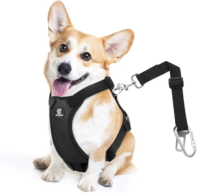Dog Seat Belt, Safety Vest Dog Car Harness with Adjustable Buckle Dog Seat Belt for Vehicle Nylon Pet Safety Seat Belts Heavy Duty(M, Black)