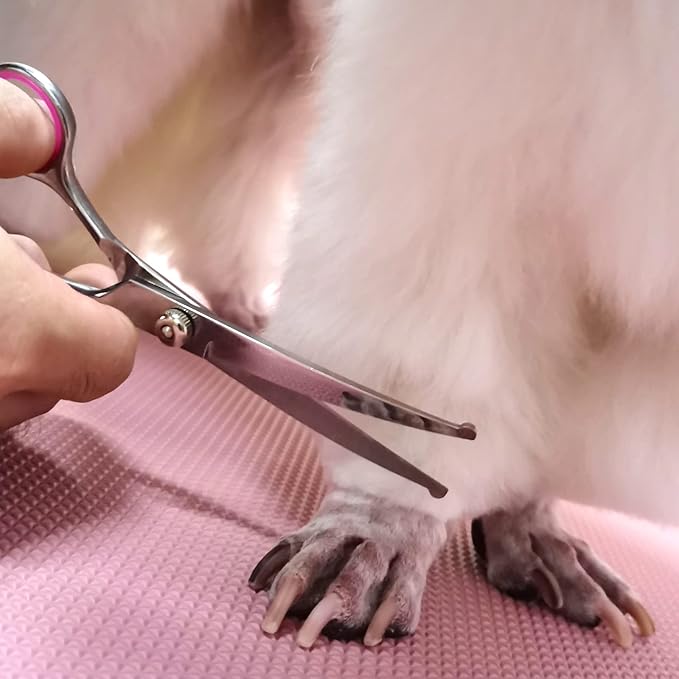 Dog Grooming Kit with Safety Round Tips Stainless Steel Professional Dog Shears Set - Thinning, Curved Scissors and Comb for Cat Pet