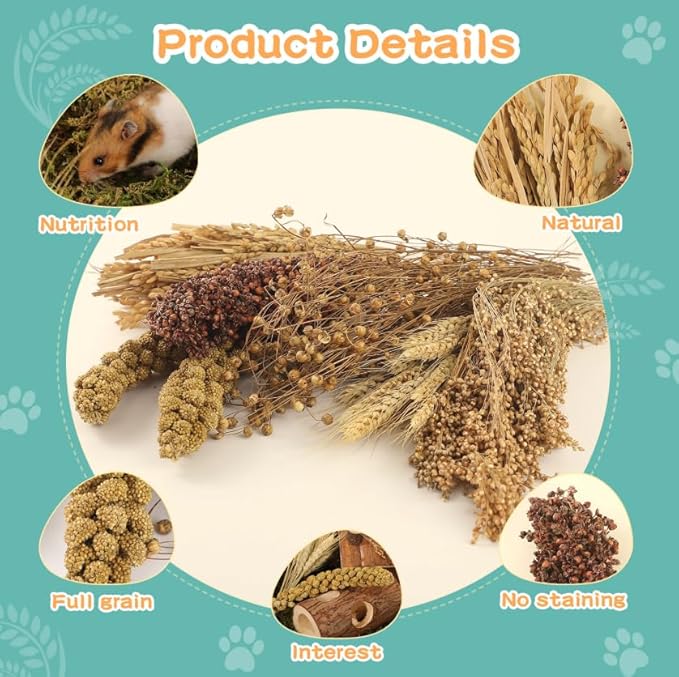 Hamster Spray Set - Natural Snack Grains & Chew Toys for Cage Decoration Accessories, Soft Bedding for Dwarf Syrian Hamsters, Gerbils, Mice & Small Pets